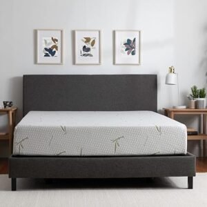 Tulo 10" Medium-Plush Memory Foam Bamboo Pressure Relief Mattress in a Box | Twin Size